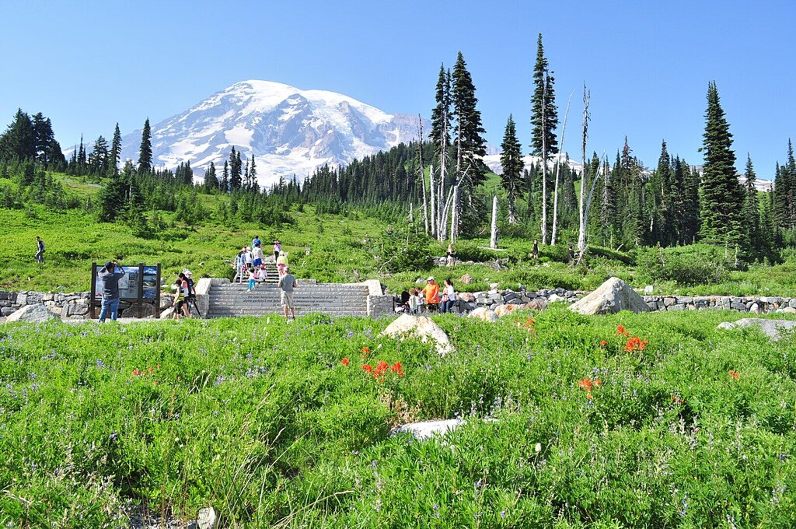 Paradise Hiking Trails and Mount Rainier